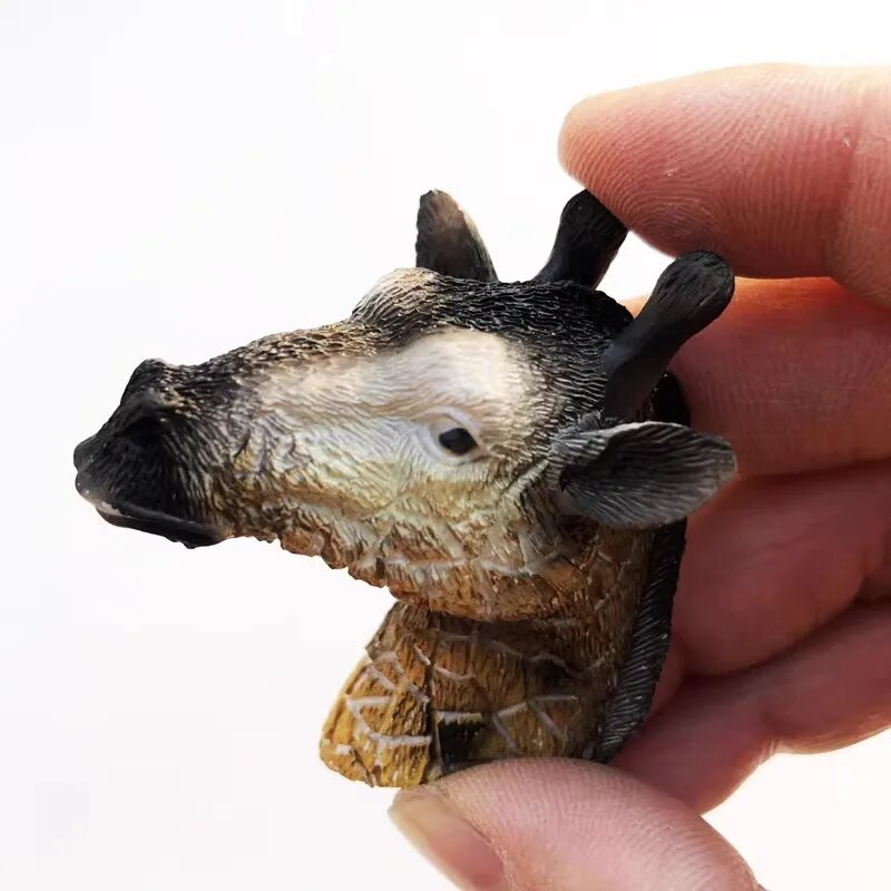 Lõuna-Aafrika külmkapimagnetid Kaplinna turistide suveniirid Kodukaunistused Pulmakingitused Teadetetahvel magnetkleebised