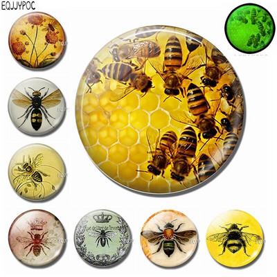 30 MM Honeybee Fridge Magnet Decor 3d Bee Animal Glass Dome Подвижен, светещ през нощта Декоративни магнитни стикери за хладилник
