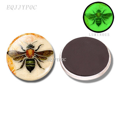 30 MM pčela medonosna magnetna dekoracija za hladnjak 3d pčela životinjska staklena kupola koja se može ukloniti i svijetli noću ukrasne magnetske naljepnice za hladnjak