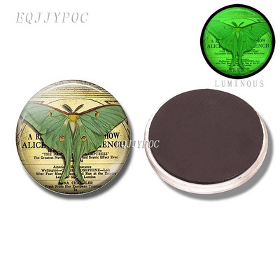 30 MM pčela medonosna magnetna dekoracija za hladnjak 3d pčela životinjska staklena kupola koja se može ukloniti i svijetli noću ukrasne magnetske naljepnice za hladnjak