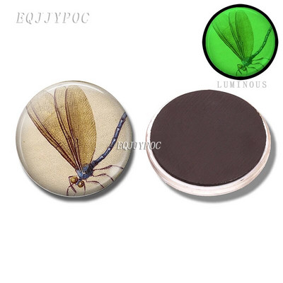 30 MM pčela medonosna magnetna dekoracija za hladnjak 3d pčela životinjska staklena kupola koja se može ukloniti i svijetli noću ukrasne magnetske naljepnice za hladnjak