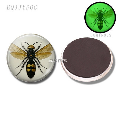 30 MM pčela medonosna magnetna dekoracija za hladnjak 3d pčela životinjska staklena kupola koja se može ukloniti i svijetli noću ukrasne magnetske naljepnice za hladnjak