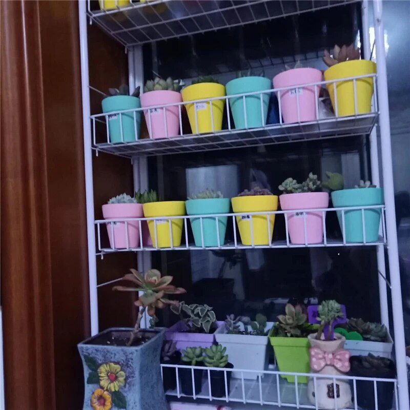 Šarene mini posude od terakote više veličina Glinene keramičke posude za žardinjere Posude za cvijeće Sočne posude za rasadnik Posude od terakote