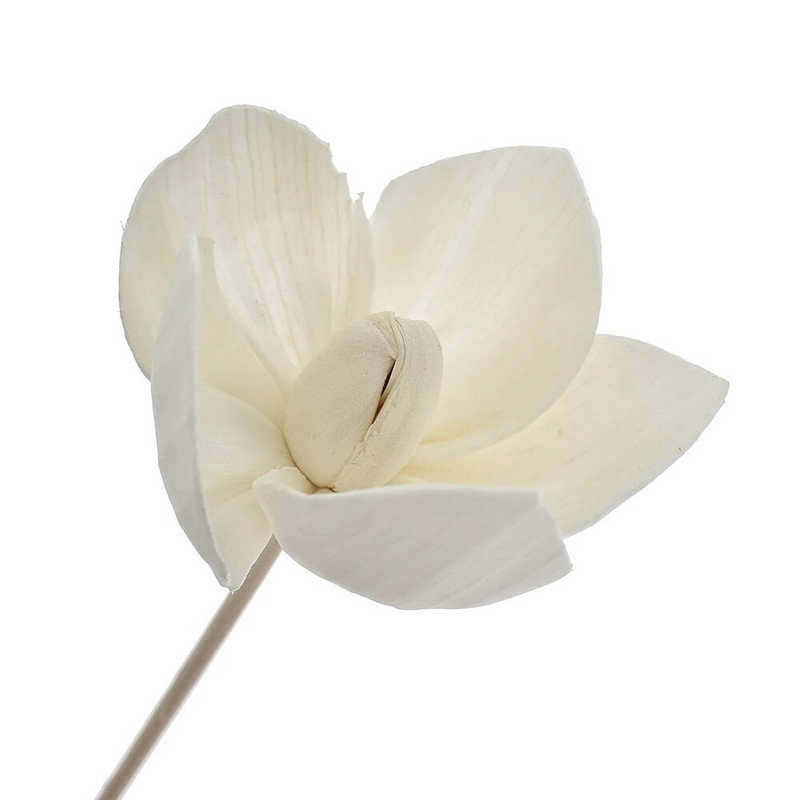 Lillekujuline rotangist õlihajuti täitepulk, pilliroo hajuti asenduspulk DIY käsitsi valmistatud kodukaunistused, lilled, aromaatsed rotangist