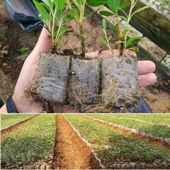 100 τμχ Τσάντες φυτών για την ανάπτυξη Τσάντες φυτωρίου Σπόροι για σπορά λουλουδιών Βιοδιασπώμενο μη υφαντό ύφασμα για αξεσουάρ κήπου σπιτιού Εργαλεία