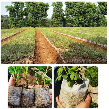 100 τμχ Τσάντες φυτωρίου Βιοαποικοδομήσιμες μη υφασμένες τσάντες φυτών υφασμάτινες γλάστρες σπορόφυτα Τσάντες θήκη φυτών Προμήθεια κήπου σπιτιού