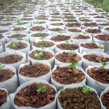 100 τμχ Τσάντες φυτωρίου Βιοαποικοδομήσιμες μη υφασμένες τσάντες φυτών υφασμάτινες γλάστρες σπορόφυτα Τσάντες θήκη φυτών Προμήθεια κήπου σπιτιού