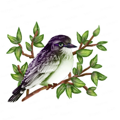 Three Ratels QCF146 Cvijet i ptica elegantna umjetnost autohezija naljepnica uređenje doma električni uređaji ogrebotine štit naljepnice