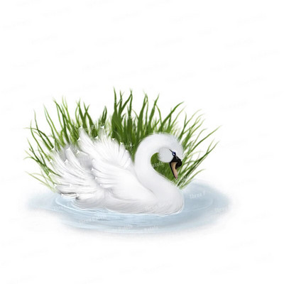 Three Ratels QCF146 Cvijet i ptica elegantna umjetnost autohezija naljepnica uređenje doma električni uređaji ogrebotine štit naljepnice