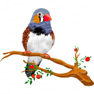 Three Ratels QCF146 Cvijet i ptica elegantna umjetnost autohezija naljepnica uređenje doma električni uređaji ogrebotine štit naljepnice