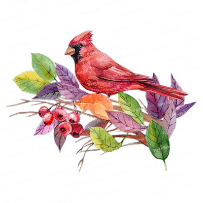 Three Ratels QCF146 Cvijet i ptica elegantna umjetnost autohezija naljepnica uređenje doma električni uređaji ogrebotine štit naljepnice