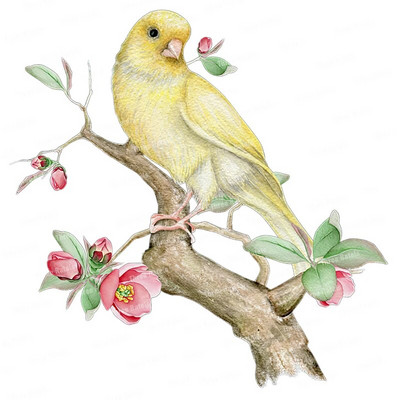 Three Ratels QCF146 Cvijet i ptica elegantna umjetnost autohezija naljepnica uređenje doma električni uređaji ogrebotine štit naljepnice