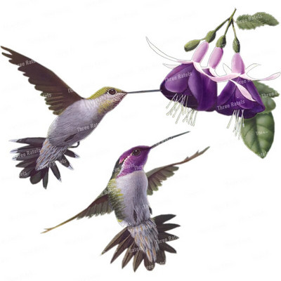 Three Ratels QCF146 Cvijet i ptica elegantna umjetnost autohezija naljepnica uređenje doma električni uređaji ogrebotine štit naljepnice