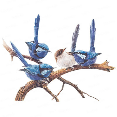 Three Ratels QCF146 Cvijet i ptica elegantna umjetnost autohezija naljepnica uređenje doma električni uređaji ogrebotine štit naljepnice