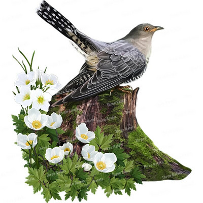 Three Ratels QCF146 Cvijet i ptica elegantna umjetnost autohezija naljepnica uređenje doma električni uređaji ogrebotine štit naljepnice