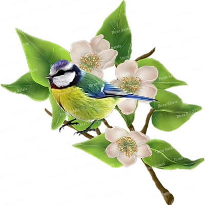 Three Ratels QCF146 Cvijet i ptica elegantna umjetnost autohezija naljepnica uređenje doma električni uređaji ogrebotine štit naljepnice