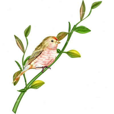 Three Ratels QCF146 Cvijet i ptica elegantna umjetnost autohezija naljepnica uređenje doma električni uređaji ogrebotine štit naljepnice