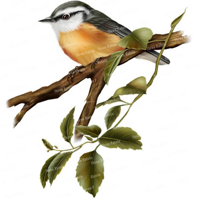 Three Ratels QCF146 Cvijet i ptica elegantna umjetnost autohezija naljepnica uređenje doma električni uređaji ogrebotine štit naljepnice