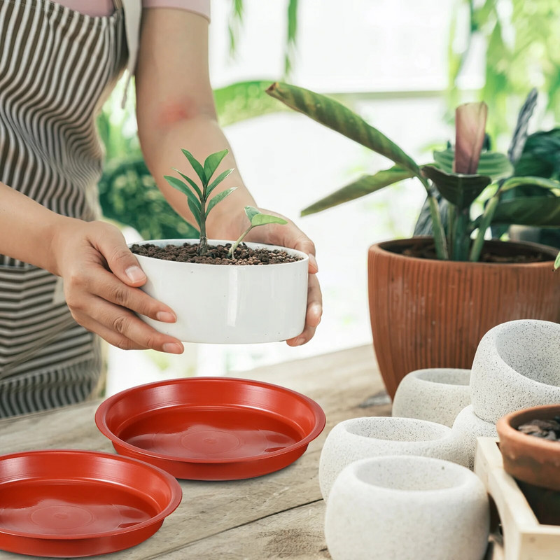 5 kom. Pladanj za plastične pladnjeve Posuđe Tanjurić Tanjurić Prednja ploča za kapanje Tanjurići Biljke u saksiji u zatvorenom prostoru
