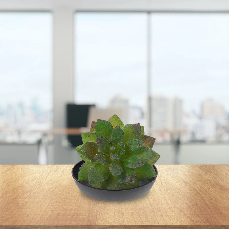 30db Virág vizes tálca csepegtető tálcák csészealjak Vetőtartó tálcák Kerek virágcserép csepegtető serpenyők Edények Tányérok Fekete fehér 7cm