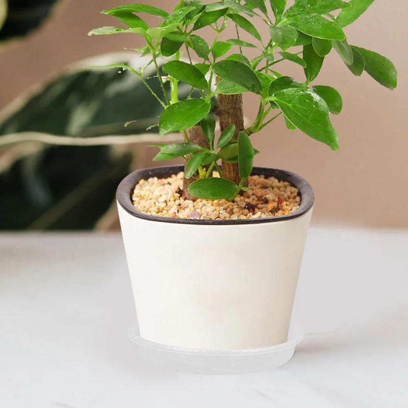 Posude za lonce od 10 komada Posuđe za biljke Tanjurići Tanjuri za sakupljanje vode Sobne biljke Plastični pladnjevi Prozirni tanjurići za vlagu