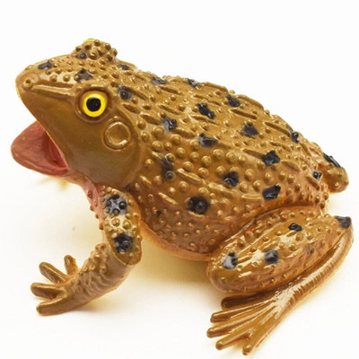 1 vnt Imitacija Varlė Modelis Vaikai Gyvūnų Žaislas Rupūžė Sudėtinga Baisu Suspausti Garsas Pomėgių Kolekcija Žaislas namų dekoro figūrėlių mokymas