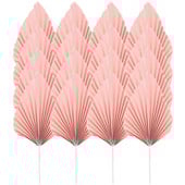 16 tk palmilehe vahetükk peo magustoidu topper ornament Kaunistus toppers plastikust kook Miss Gold