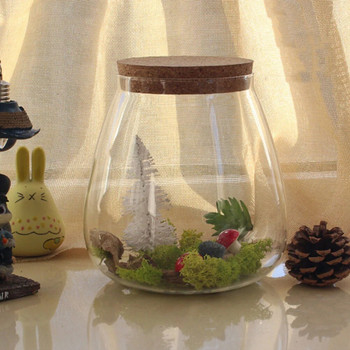 Γυαλί με φελλό Terrarium Βαζάκια Βάζα Μπουκάλια Καπάκια Διακοσμητική Μπομπονιέρα Φυτών Μπολ Κιτ αποθήκευσης Δοχεία Πώματα Landscape Pot