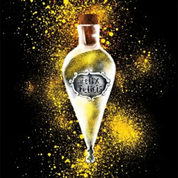 Water Drop Empty Potion Γυάλινο μπουκάλι Γυάλινα βάζα με ντεκόρ από φελλό Ευχή για τυχερή μαγική κρεμαστό κόσμημα γυάλινα βάζα Γάμος γιορτινά δοχεία