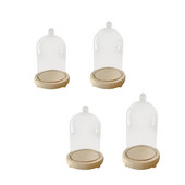 Cloche klaaskupliga ekraanikellapurk, dekoratiivne multifunktsionaalne maalähedane vitriin, puidust alus läbipaistev kate tehistaimede jaoks