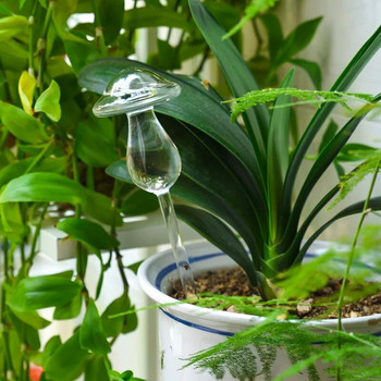 5 вида стъклени растения, цветя, хранилка за вода, автоматични устройства за самонапояване, птица, звезда, гъба, охлюв, дизайн на цветя, поилка за растения