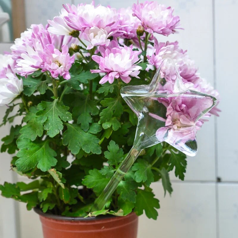 5 tüüpi klaastaimed lilled veesöötur Automaatsed isekastmisseadmed linnutäht seente tigude lillede disainiga taimede jootja