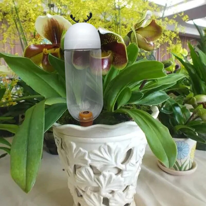 Komplet za automatsko navodnjavanje vrta od 500 ml Alat za samozalijevanje Unutarnji sustav za navodnjavanje kap po kap Biljke u saksiji Zalijevači za cvijeće Šiljak