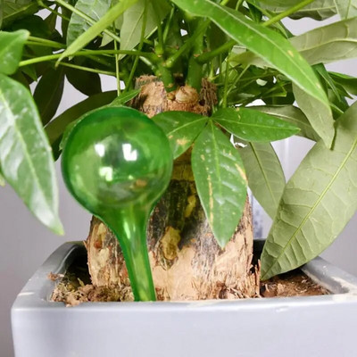 Öntözési hagymák Állítható automatikus vízcsepegtető készülék Virágcserep automatikus csepegtető öntözési öntözési tüskék beltéri kültéri használatra