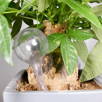 Öntözési hagymák Állítható automatikus vízcsepegtető készülék Virágcserep automatikus csepegtető öntözési öntözési tüskék beltéri kültéri használatra