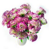 Mesterséges szegfű virág kültéri UV-álló, fakulásmentes műanyag szegfű csokor házibuli esküvői fesztivál kerti dekorációjához