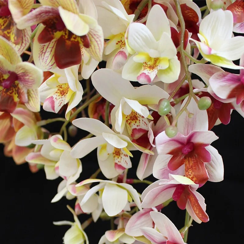 1 szár 21 fej valódi érintés latex mesterséges lepke orchidea művirágok esküvői otthoni fesztivál dekorációja pillangó orchidea