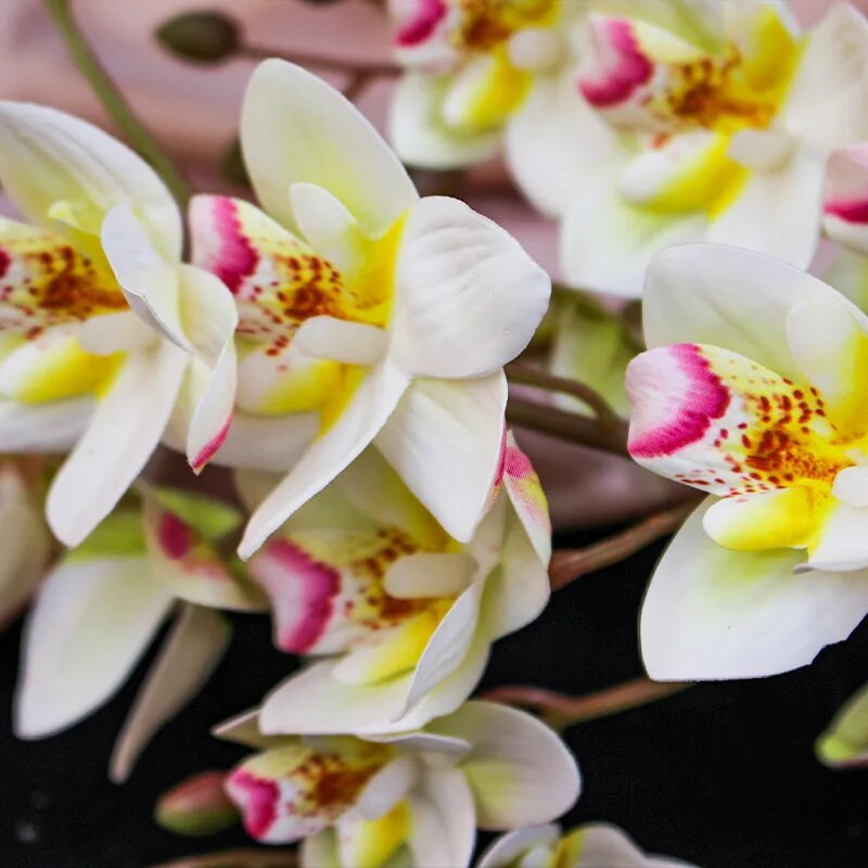 1 szár 21 fej valódi érintés latex mesterséges lepke orchidea művirágok esküvői otthoni fesztivál dekorációja pillangó orchidea