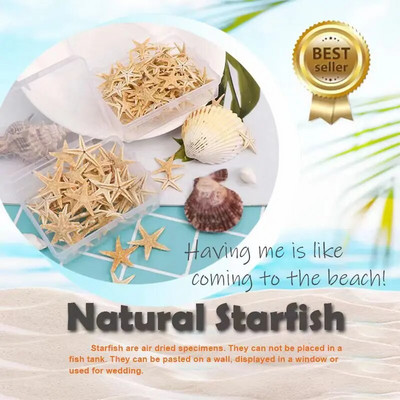 20 Vnt. 1 dėžutė Natūralus jūrų žvaigždė Seashell Beach Craft Natural Sea Stars DIY Paplūdimio vestuvių dekoravimo amatai Namų dekoras Epoksidas 1-5 cm