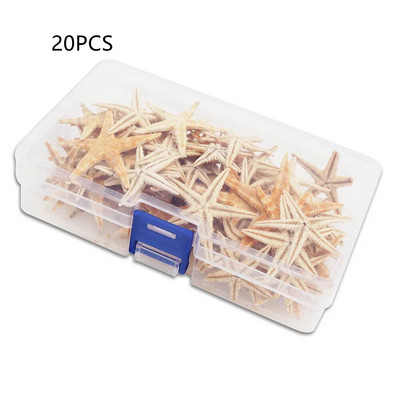 20 Vnt. 1 dėžutė Natūralus jūrų žvaigždė Seashell Beach Craft Natural Sea Stars DIY Paplūdimio vestuvių dekoravimo amatai Namų dekoras Epoksidas 1-5 cm