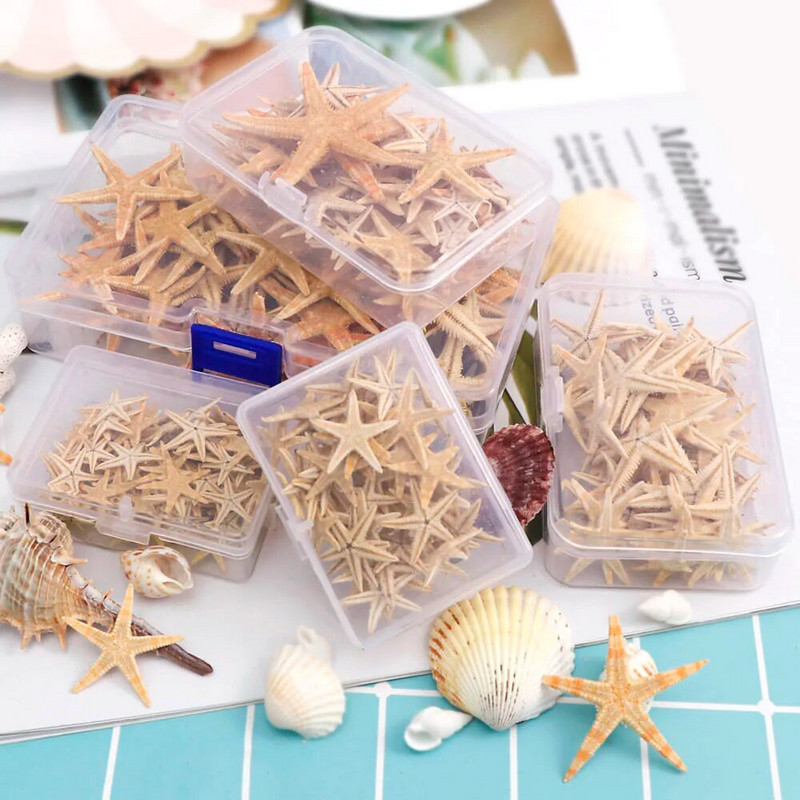 20 Vnt. 1 dėžutė Natūralus jūrų žvaigždė Seashell Beach Craft Natural Sea Stars DIY Paplūdimio vestuvių dekoravimo amatai Namų dekoras Epoksidas 1-5 cm