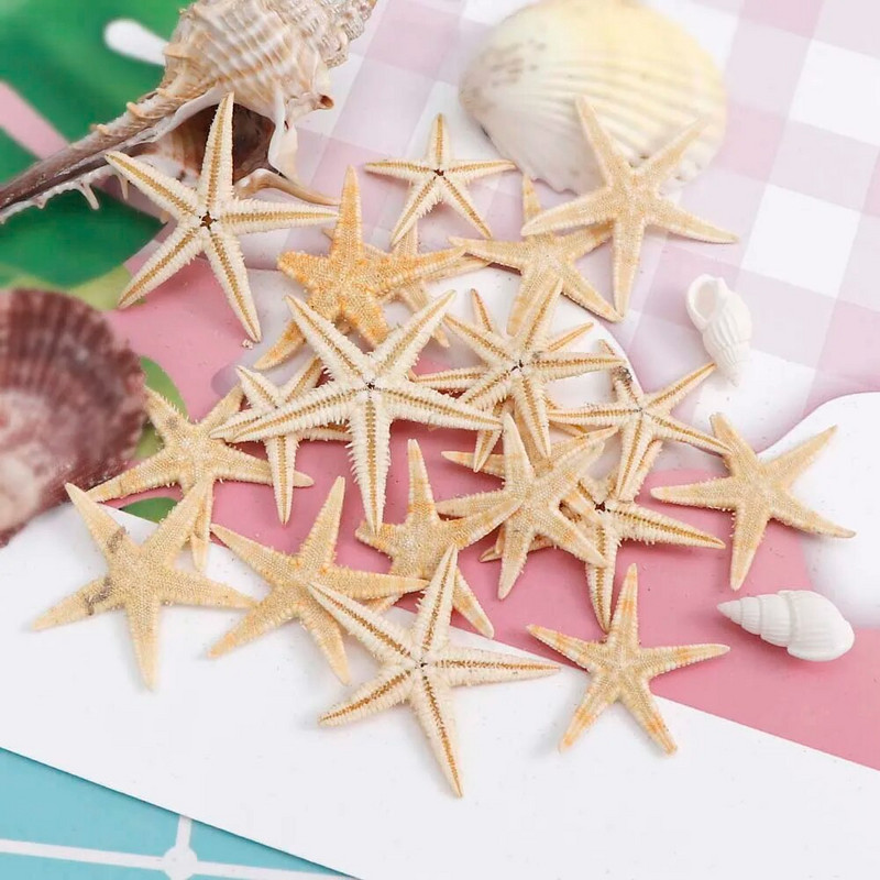 20 Vnt. 1 dėžutė Natūralus jūrų žvaigždė Seashell Beach Craft Natural Sea Stars DIY Paplūdimio vestuvių dekoravimo amatai Namų dekoras Epoksidas 1-5 cm