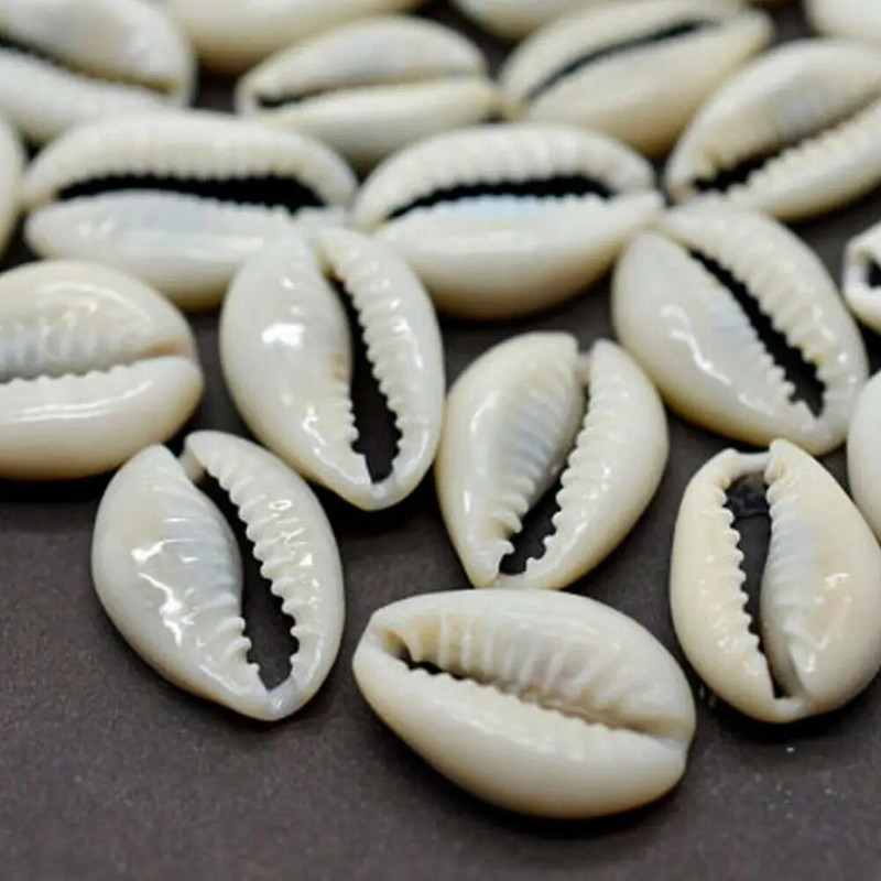 100 vnt. 1 8 cm Cowry Shell baltos jūros kriauklių karoliukai su „pasidaryk pats“ apyranke, kaklo papuošalu, papuošalų gamybos aksesuarais