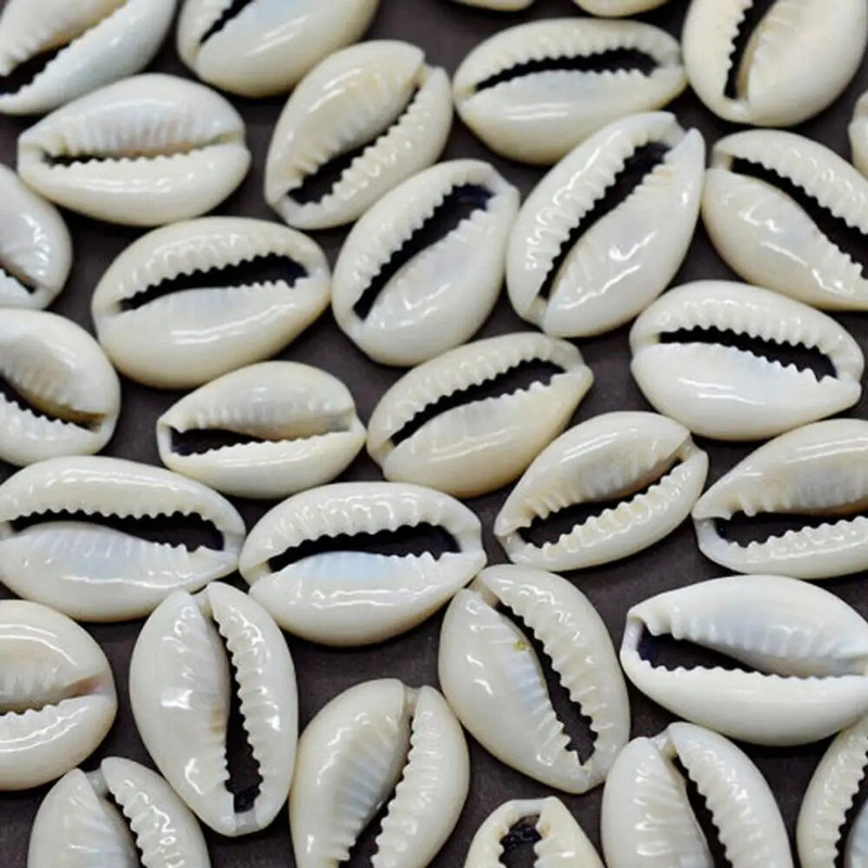 100 vnt. 1 8 cm Cowry Shell baltos jūros kriauklių karoliukai su „pasidaryk pats“ apyranke, kaklo papuošalu, papuošalų gamybos aksesuarais