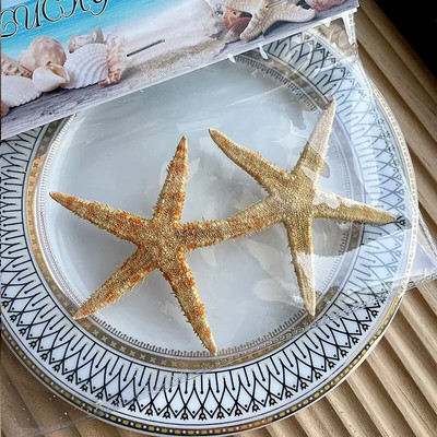 Dabiski mini gliemežnīcas Vidusjūras 1 maiss Interesanti krāsaini jaukti reāli mazi jūras gliemežvāki akvārija jūras dekorācijas rotājumi