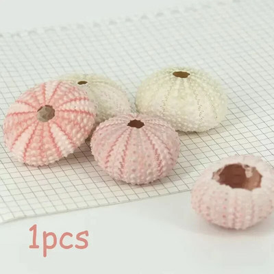 Dabiski mini gliemežnīcas Vidusjūras 1 maiss Interesanti krāsaini jaukti reāli mazi jūras gliemežvāki akvārija jūras dekorācijas rotājumi