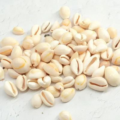 Dabiski mini gliemežnīcas Vidusjūras 1 maiss Interesanti krāsaini jaukti reāli mazi jūras gliemežvāki akvārija jūras dekorācijas rotājumi