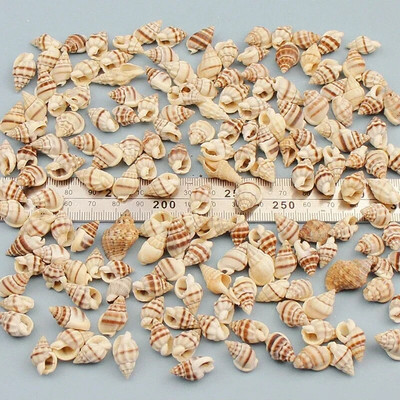 Dabiski mini gliemežnīcas Vidusjūras 1 maiss Interesanti krāsaini jaukti reāli mazi jūras gliemežvāki akvārija jūras dekorācijas rotājumi