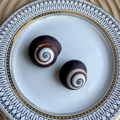 Dabiski mini gliemežnīcas Vidusjūras 1 maiss Interesanti krāsaini jaukti reāli mazi jūras gliemežvāki akvārija jūras dekorācijas rotājumi