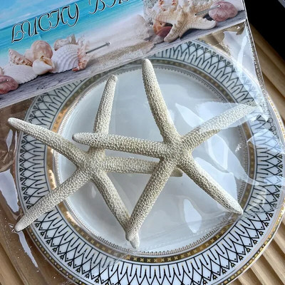 Dabiski mini gliemežnīcas Vidusjūras 1 maiss Interesanti krāsaini jaukti reāli mazi jūras gliemežvāki akvārija jūras dekorācijas rotājumi